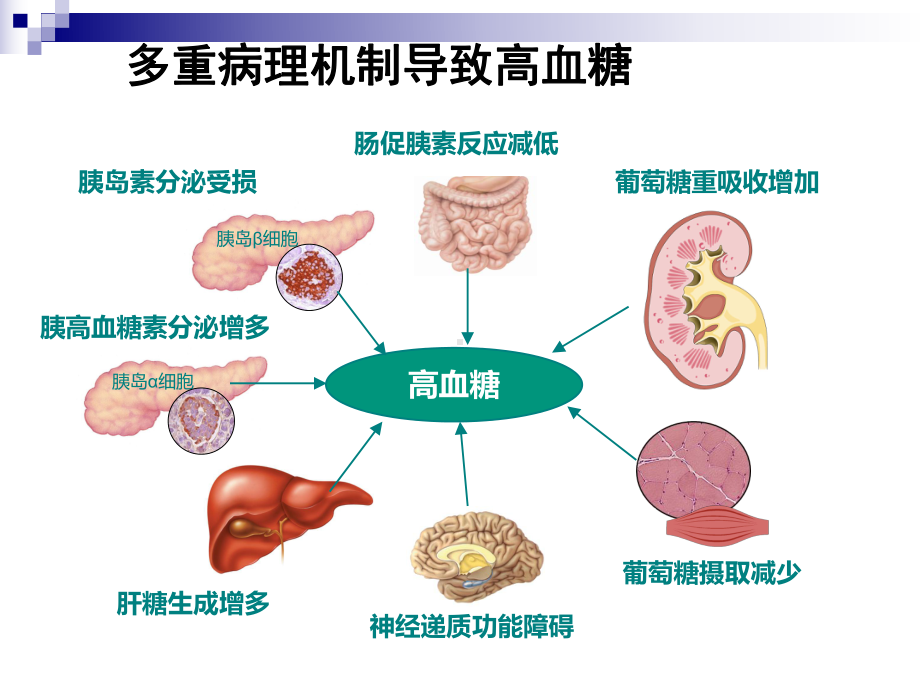 口服降糖药的护理汇总课件.ppt_第2页