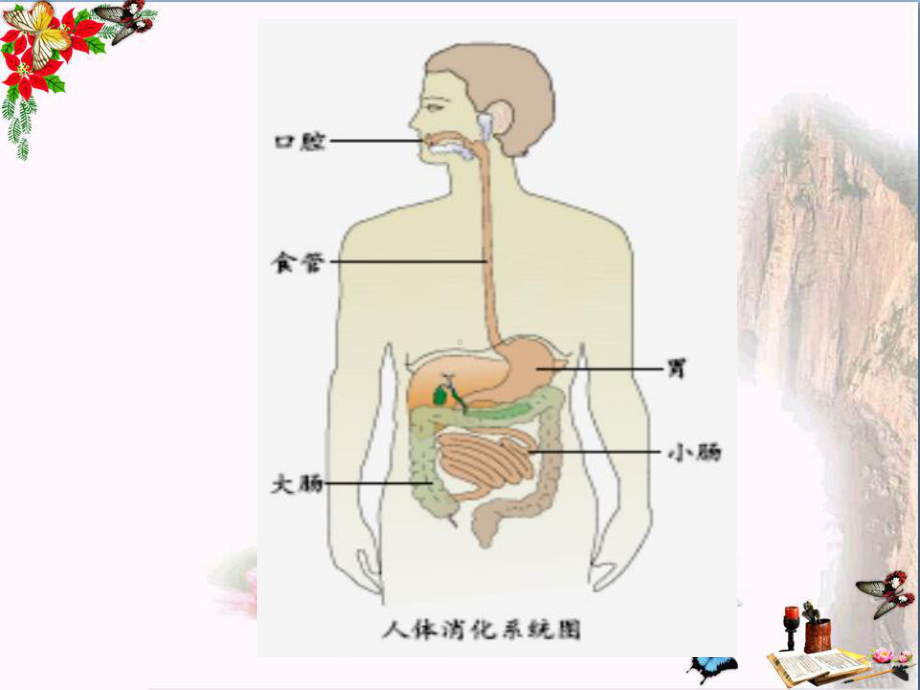 四年级科学上册23《一次奇妙的旅行》优选PPY课件2大象版.ppt_第3页