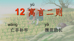 二年级下册语文课件12寓言二则人教部编版2.ppt