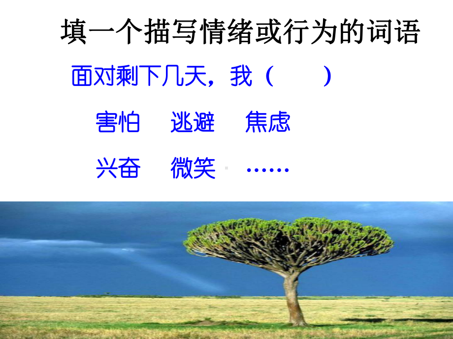 年轻的战场主题班会课件.ppt_第2页