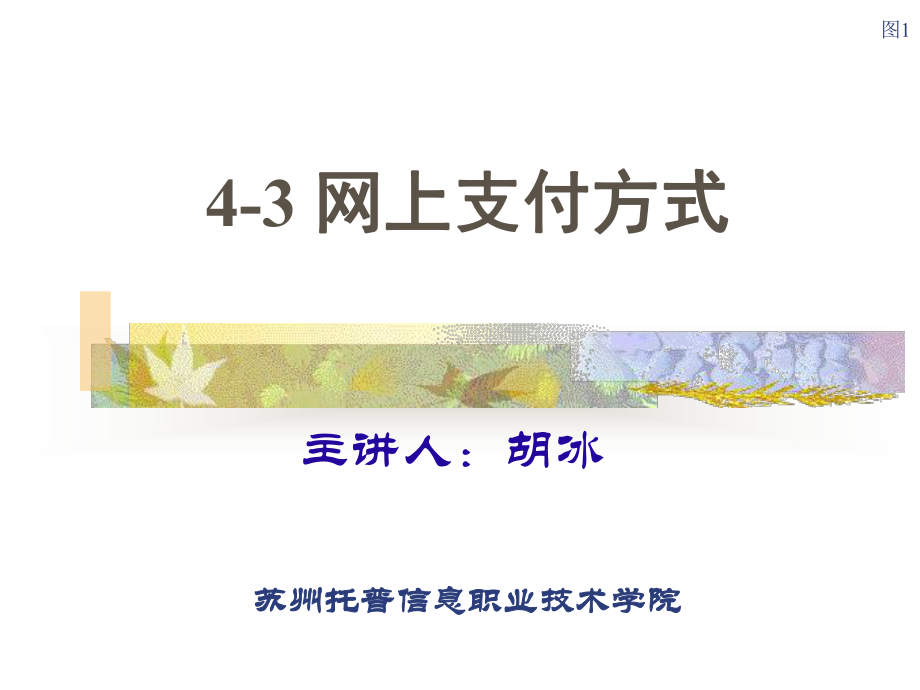 电子商务的交易模式与应用层次专业网站制作课件.ppt_第1页