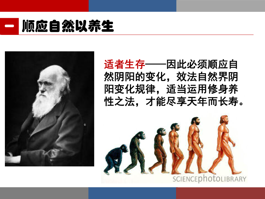 老年养生编辑课件.ppt_第3页