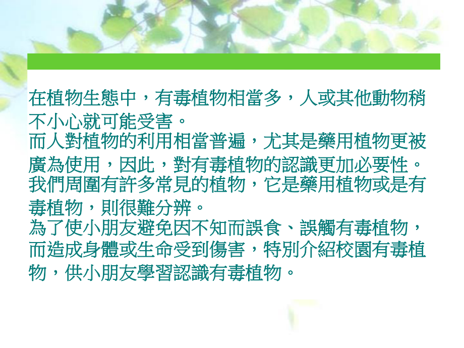 趣味兮形容词课件.ppt_第2页