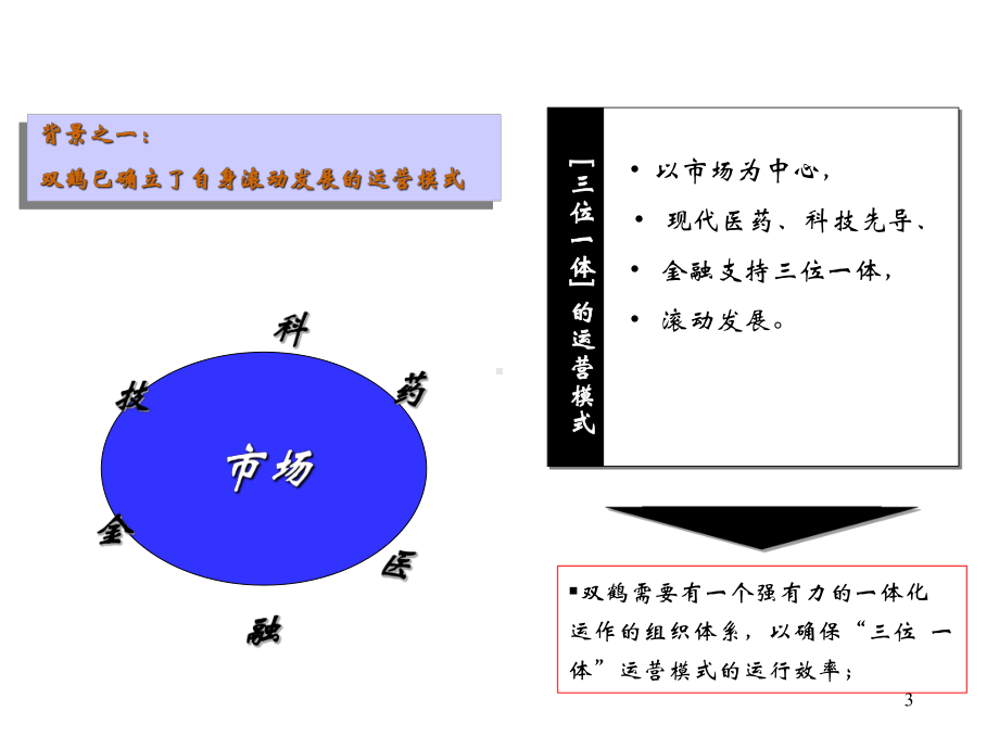 双鹤药业集团组织发展规划修改稿课件.ppt_第3页