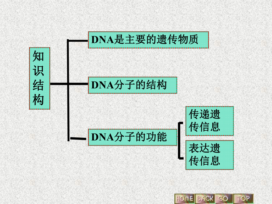 遗传的物质基础(高三复习)精选教学课件.ppt_第2页