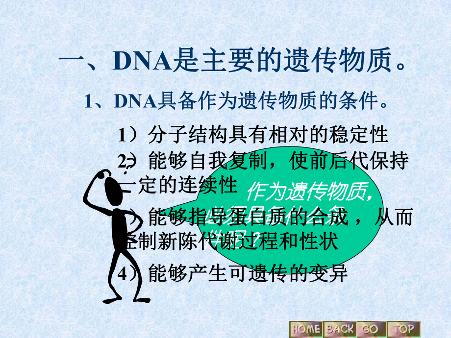 遗传的物质基础(高三复习)精选教学课件.ppt_第3页