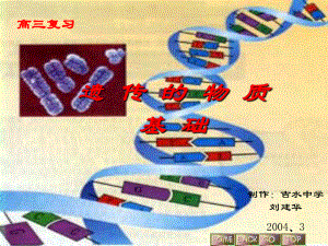 遗传的物质基础(高三复习)精选教学课件.ppt