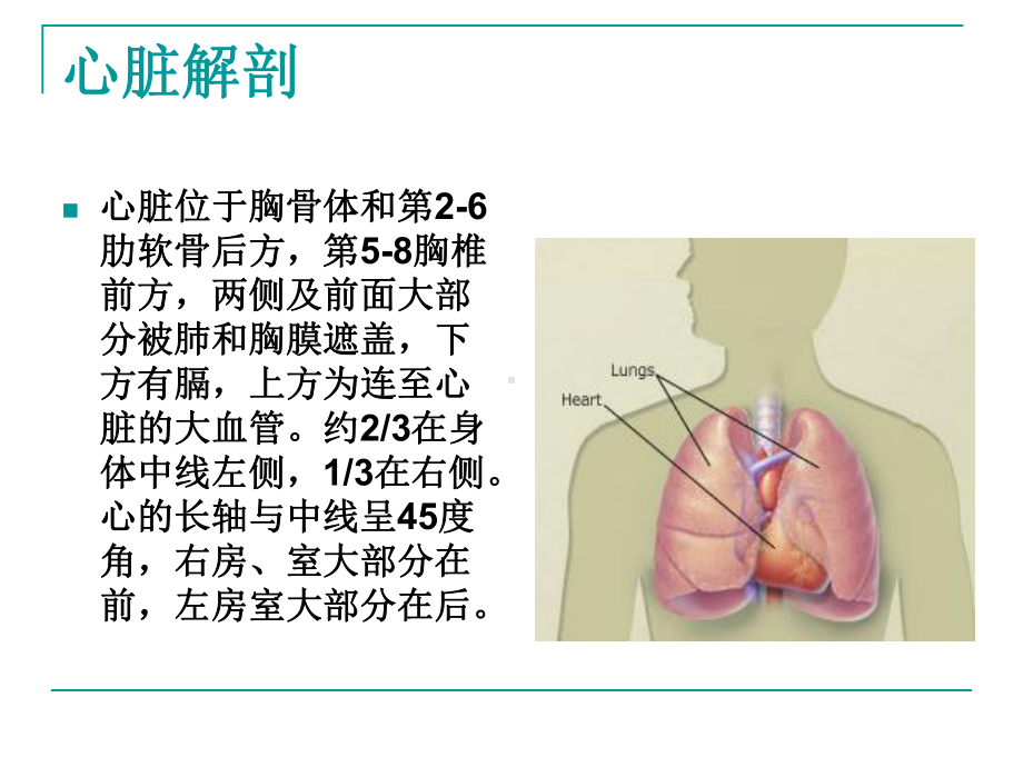 心脏体格检查课件整理.ppt_第2页