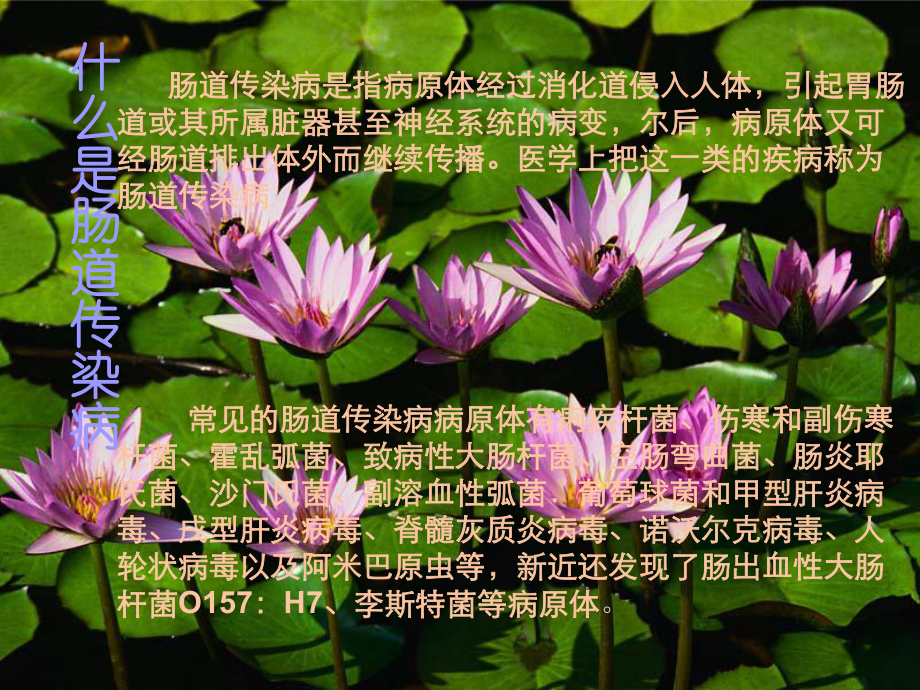 夏季肠道传染病的防治课件.ppt_第2页