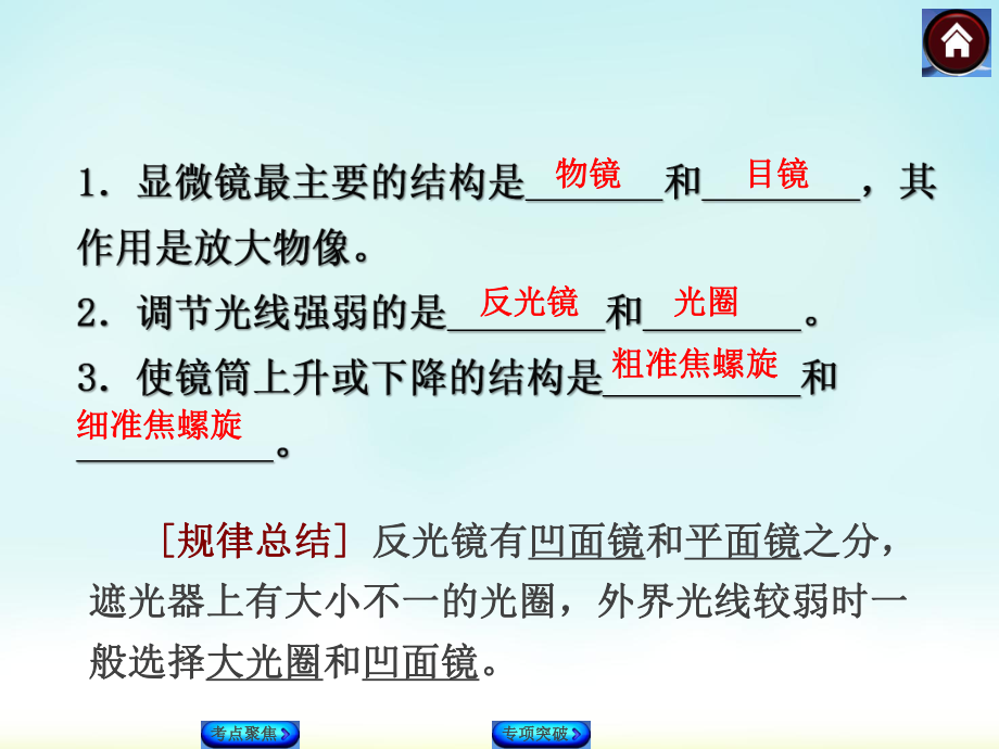 人教版生物中考复习主题二生物体结构层次课件.ppt_第3页