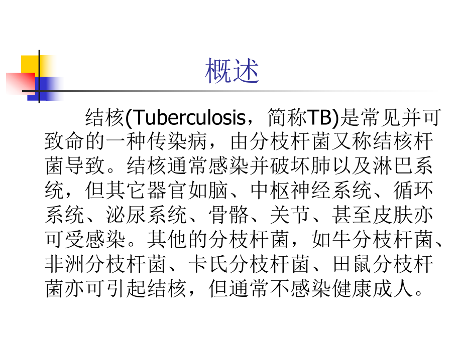 肺结核 教学讲解课件1.ppt_第2页