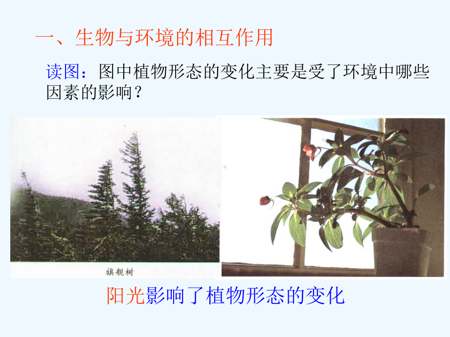 九年级科学下册21生物与环境的相互关系讲义4(新版)浙教版课件.ppt_第2页