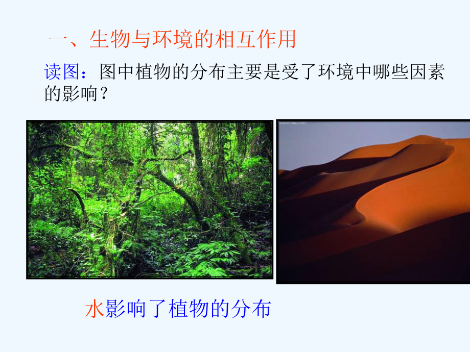 九年级科学下册21生物与环境的相互关系讲义4(新版)浙教版课件.ppt_第3页