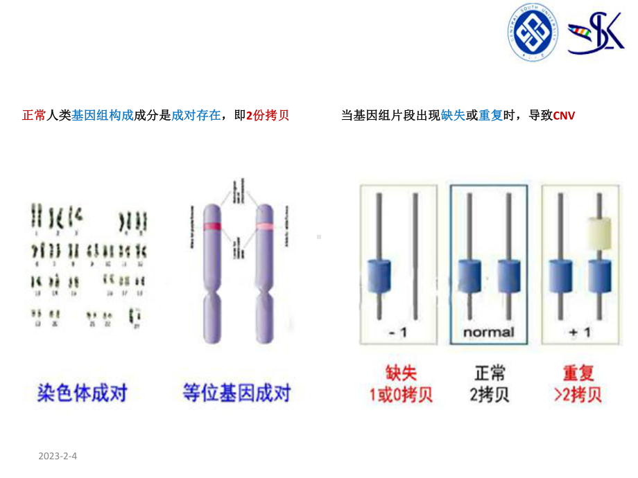 基因组拷贝数变异课件.ppt_第3页