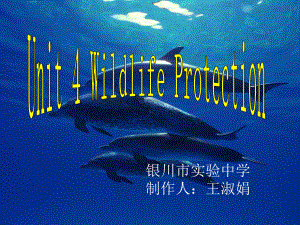 人教版高中英语Book-2-Unit-4-wildlife-protection-warming-u课件.ppt（纯ppt,可能不含音视频素材）