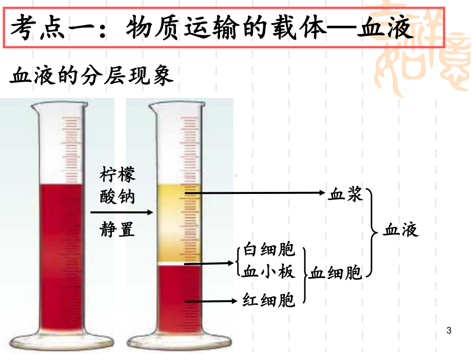 人体内物质的运输复习课件讲义.ppt_第3页