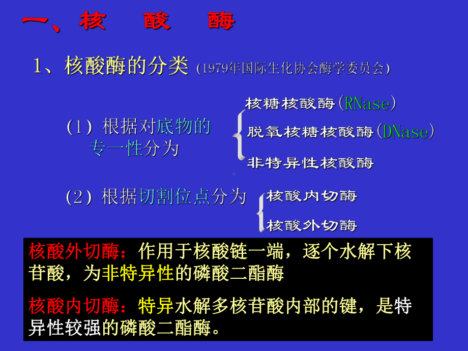 第六章 核酸化学yu代谢2课件.ppt_第2页