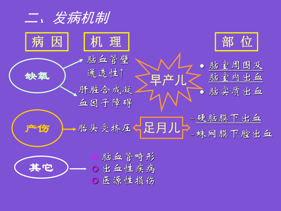 足月臀位产新生儿（）课件.ppt_第3页