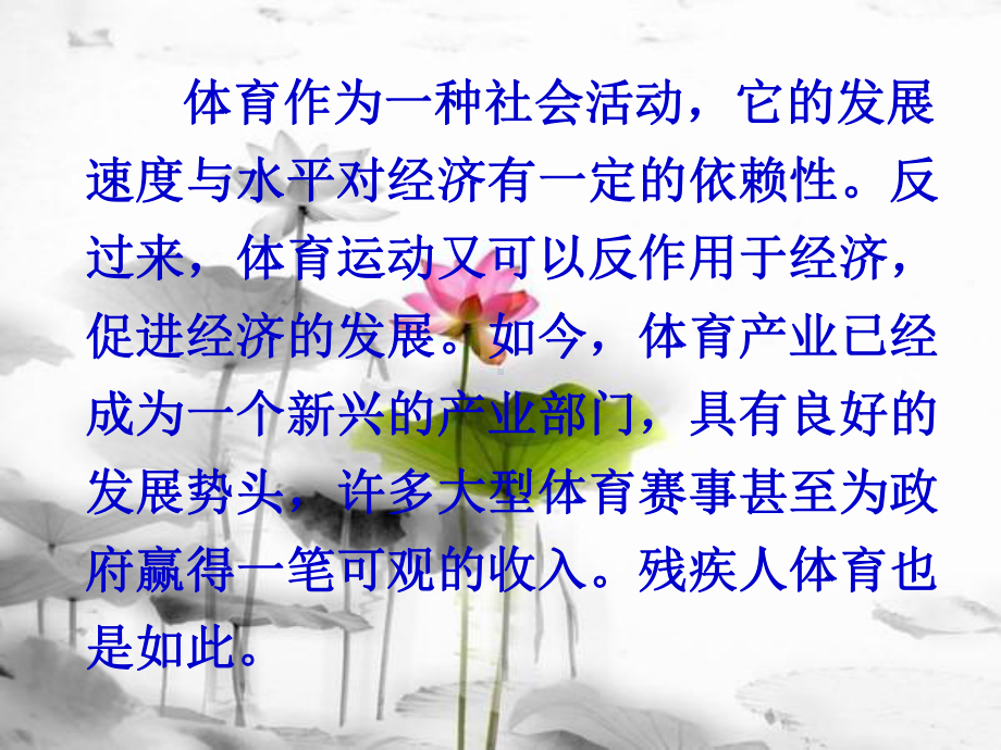 残疾人体育的经济功能课件整理.ppt_第2页