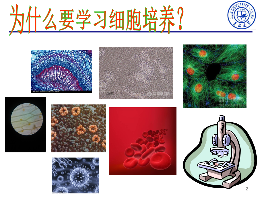 动物细胞培养理论讲授课件.ppt_第2页