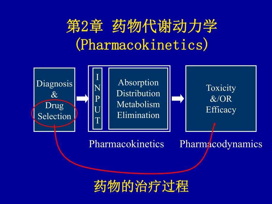 第2章药物代谢动力学liu课件.ppt_第1页