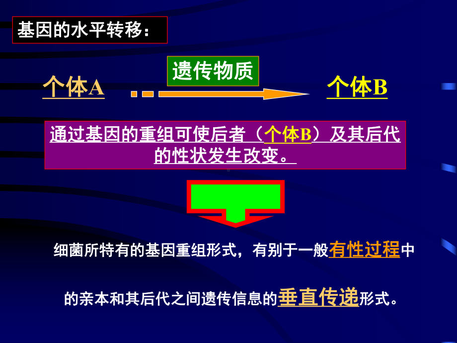 第8章微生物遗传2课件.ppt_第2页