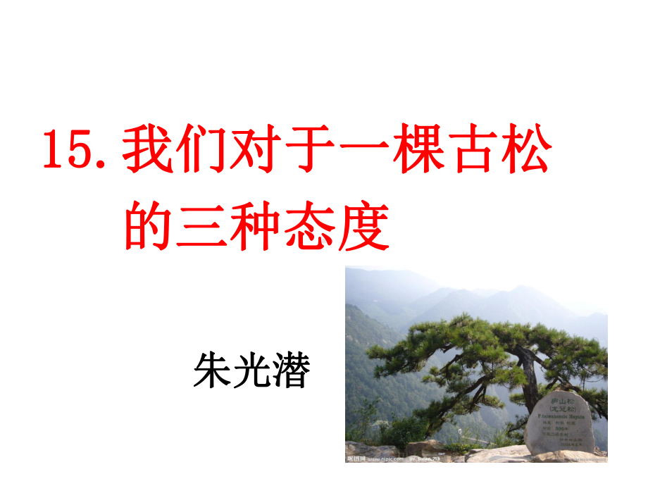 我们对于一棵古松的三种态度朱光潜朱光潜课件.ppt_第1页