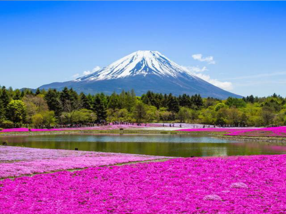 人教版七年级地理下册日本教学课件.ppt_第2页