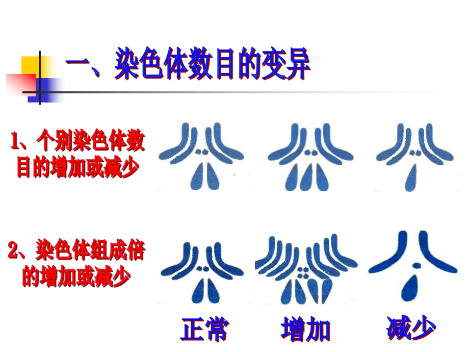 人教版高中生物必修二第5章第2节《染色体变异》课件.pptx_第3页