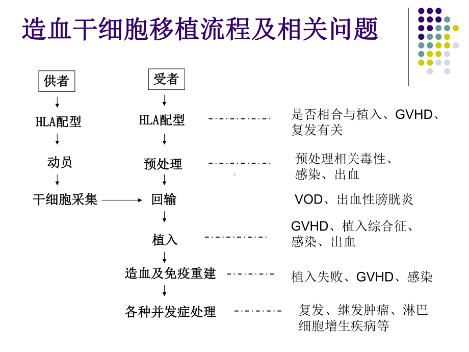 造血干细胞移植的并发症汇编课件.ppt_第2页