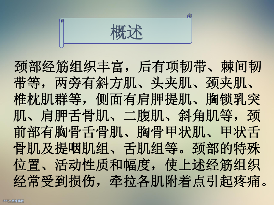 董宝强颈项部经筋课件.ppt_第2页