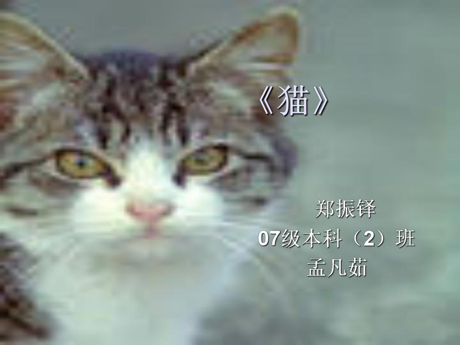 猫49(说课)人教版课件.ppt_第1页