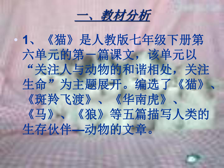 猫49(说课)人教版课件.ppt_第2页