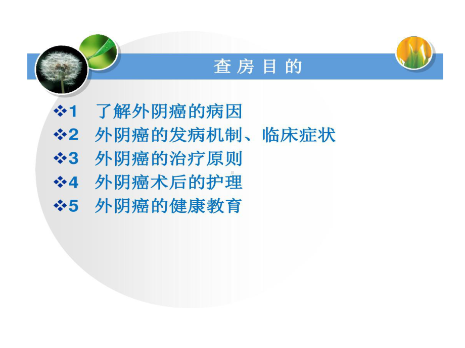 外阴癌护理要点课件.ppt_第2页