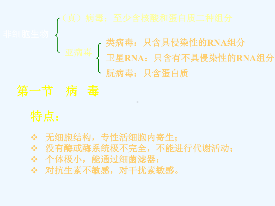 病毒和亚病毒课件.ppt_第2页