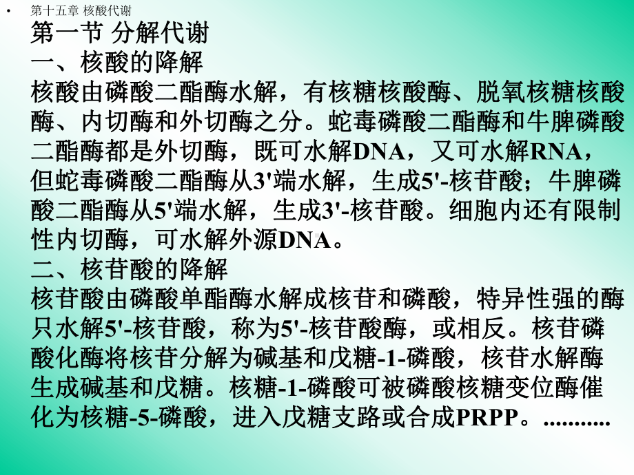 核酸的代谢王镜岩生物化学(全)课件.ppt_第2页