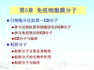 第5章免疫细胞膜分子课件.ppt