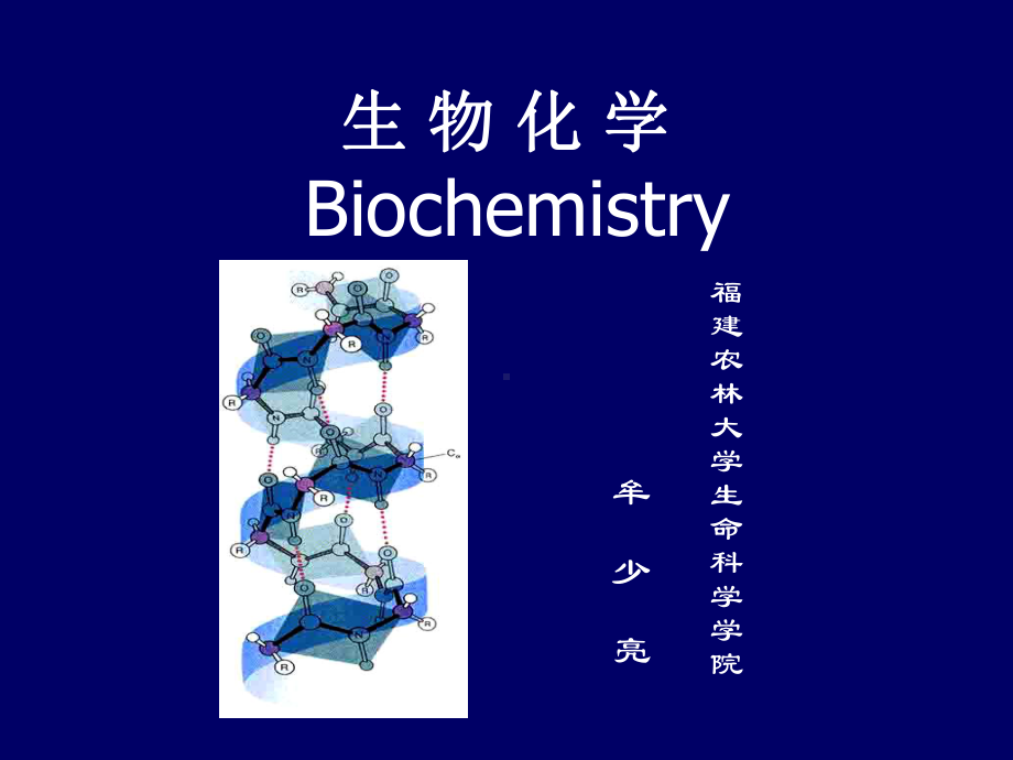 第一章核酸课件.ppt_第1页