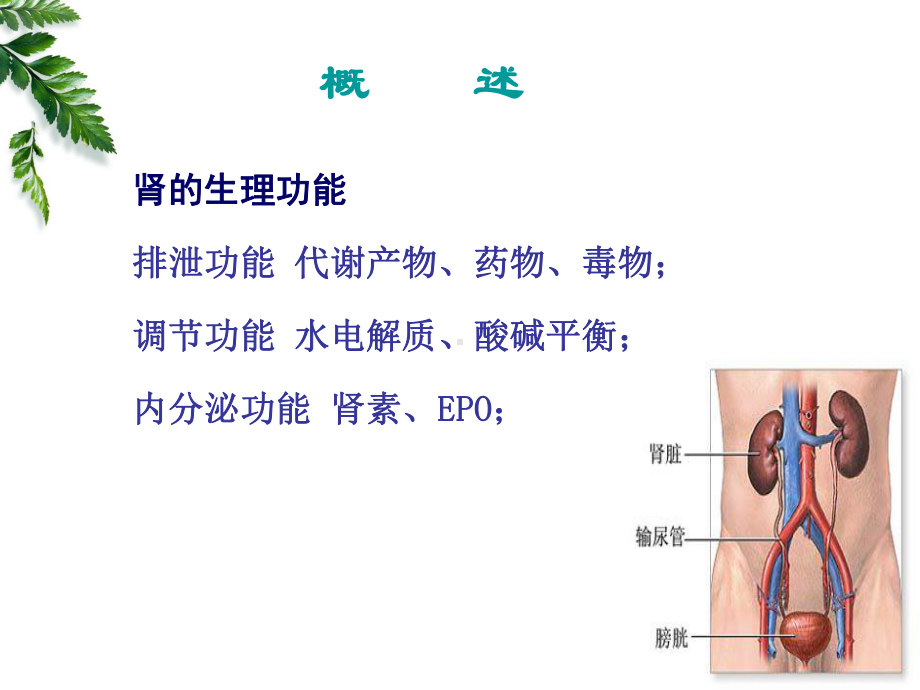 肾功能不全 课件1.ppt_第3页