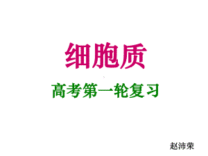 线粒体叶绿体核糖体课件.ppt