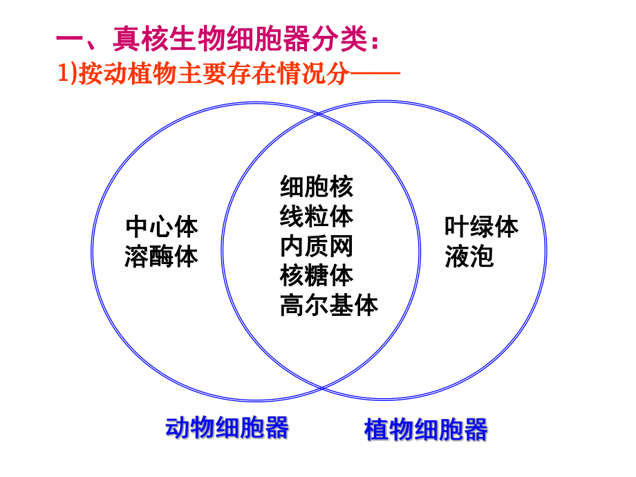 线粒体叶绿体核糖体课件.ppt_第3页