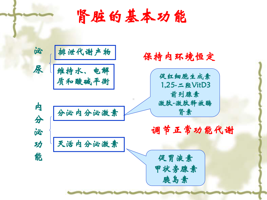 急性肾功能不全201206 课件.ppt_第3页