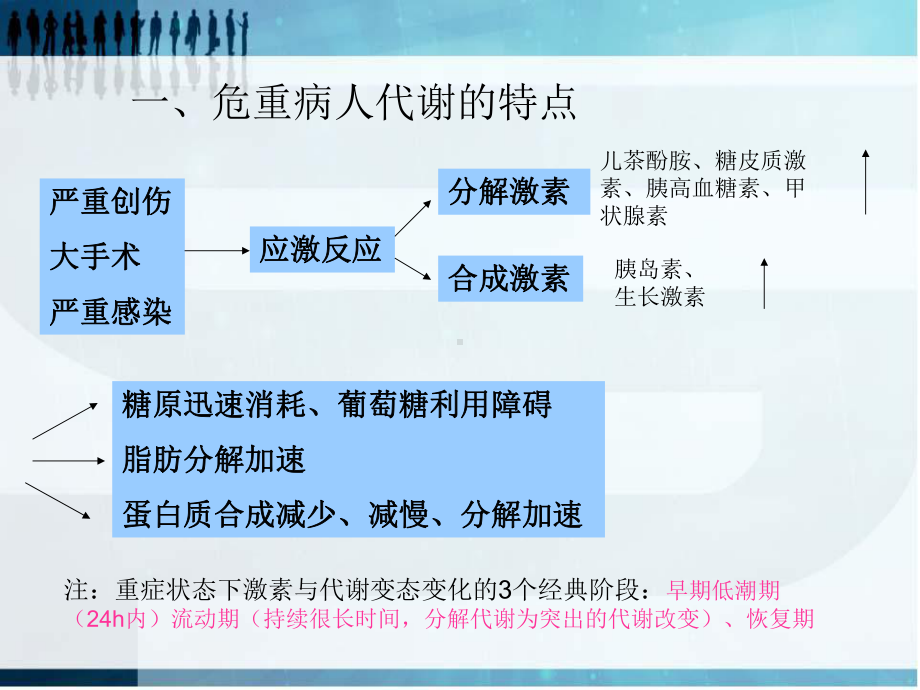 危重患者的营养护理课件.ppt_第3页