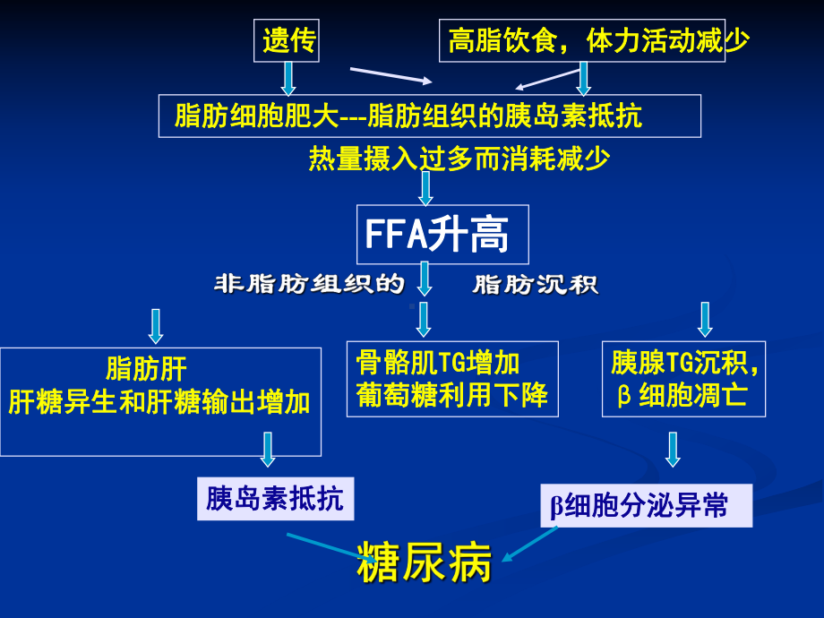 糖尿病研究的新进展课件.ppt_第3页