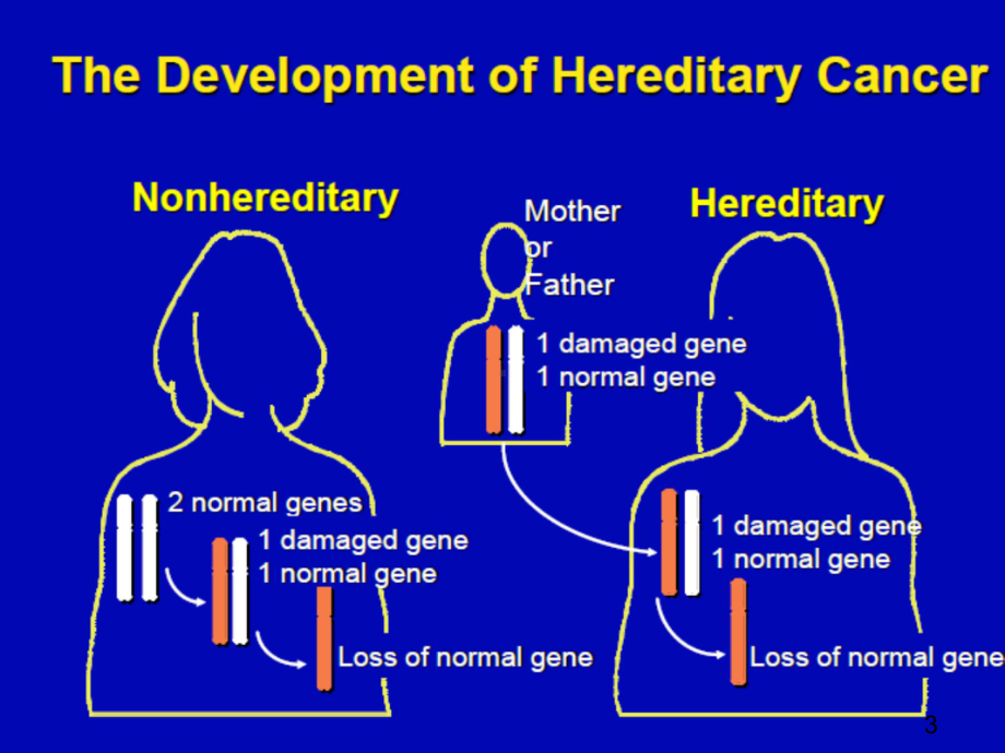 家族遗传性胃癌 课件.pptx_第3页