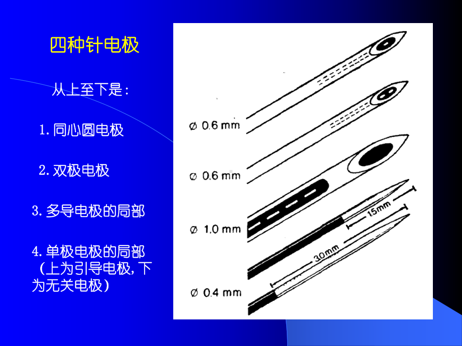 医学电生理学(M)课件.ppt_第2页