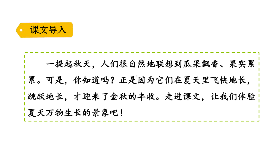 人教部编版六年级上册夏天里的成长2课件.pptx_第2页