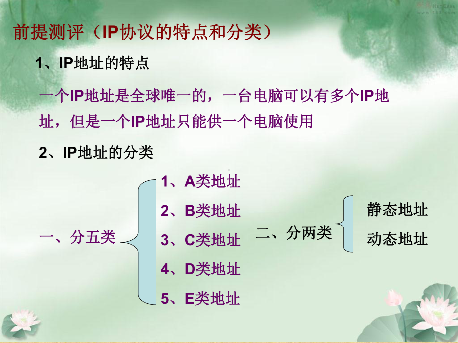 认识域名精编版课件.ppt_第2页