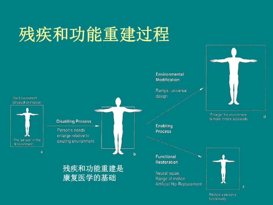 励建安教授：医疗康复中ICF的理念课件.ppt_第3页