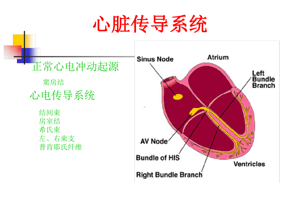 第版内科学心律失常概述课件.ppt_第3页